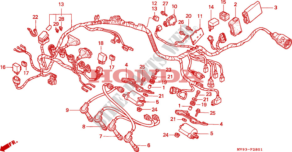FAISCEAU DES FILS (CBR600FS/3S/T/3T/SET) pour Honda CBR 600 F de 1995