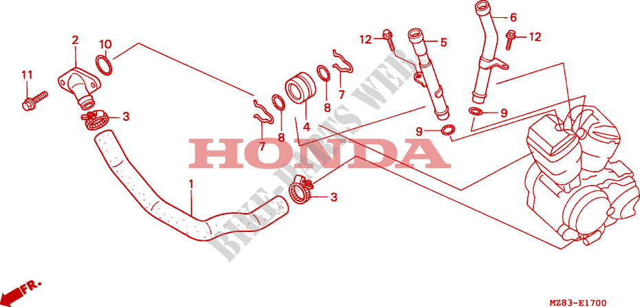 DURITE DE REFROIDISSEMENT pour Honda STEED 400 de 1997