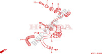 SOUPAPE D'ADMISSION pour Honda SH 125 R, REAR DRUM BRAKE de 2009