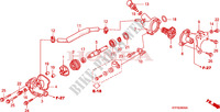 POMPE A EAU pour Honda SH 125 D REAR DRUM BRAKE, SPECIAL de 2010