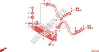 RADIATEUR D'HUILE pour Honda TRX 250 FOURTRAX RECON Standard de 2010