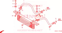 RADIATEUR D'HUILE pour Honda FOURTRAX 350 RANCHER 4X4 de 2006