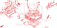 CULASSE pour Honda TRX SPORTRAX 250 X de 2011
