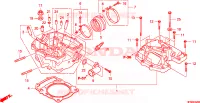 CULASSE pour Honda TRX 700 XX de 2011