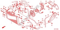 RADIATEUR pour Honda CBR 600 F ABS WHITE de 2012