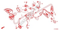 FAISCEAU DES FILS (1) pour Honda ACE 125 SPOKED WHEELS de 2012