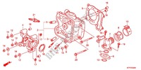 CULASSE pour Honda SH 125 TOP CASE BRONZE 5F de 2012