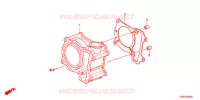 CYLINDRE pour Honda SH 150 R SPECIAL 2ED de 2012