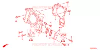 CYLINDRE pour Honda SH 300 ABS BRONZE de 2012