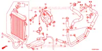 RADIATEUR pour Honda SH 300 ABS BRONZE de 2012