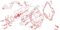 CARTER MOTEUR DROIT   POMPE A EAU pour Honda SH 300 ABS SPECIAL 5ED de 2012