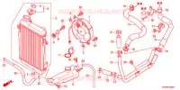 RADIATEUR pour Honda SH 300 R de 2012