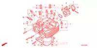 CULASSE pour Honda SPORTRAX TRX 400 X de 2012