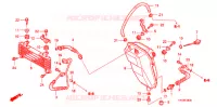 RADIATEUR D'HUILE pour Honda SPORTRAX TRX 400 X de 2012