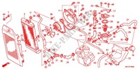 RADIATEUR (VT750C2B/C2S/CS/C/CA) pour Honda SHADOW VT 750 COSMIC BLACK de 2012