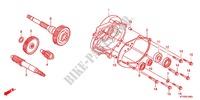BOITE DE VITESSES pour Honda SH 125 SPECIAL de 2012