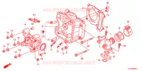 CULASSE pour Honda SH 125 SPECIAL de 2012