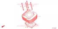 CYLINDRE pour Honda XRE 300 3LA de 2011