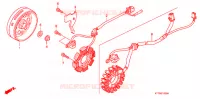 ALTERNATEUR pour Honda CBF 150 de 2016