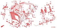 RADIATEUR pour Honda CBR 600 RR ABS REPSOL de 2013