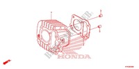 CYLINDRE pour Honda CRF 110 de 2016