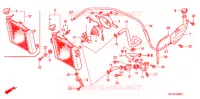 RADIATEUR pour Honda FS 125 SONIC de 2008