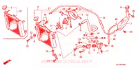 RADIATEUR pour Honda FS 125 SONIC C de 2004