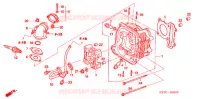 CULASSE (SC1255,6,8) pour Honda SC 125 de 2007