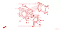CYLINDRE pour Honda SH 125 D SPECIAL 2F de 2013