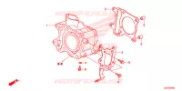 CYLINDRE pour Honda SH 125 D SPECIAL 3F de 2013