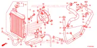 RADIATEUR pour Honda SH 300 de 2013