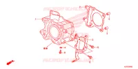 CYLINDRE pour Honda SH 150 D SPECIAL 2E de 2013