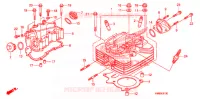 CULASSE pour Honda TRX 250 FOURTRAX RECON Standard de 2013