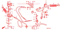 COMMODOS   POIGNEES pour Honda TRX SPORTRAX 250 X de 2013