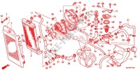 RADIATEUR (VT750C/C2S/CA/CS) pour Honda SHADOW VT 750 GRAY de 2013