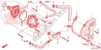 POMPE A EAU pour Honda CBR 600 RR ABS TRICOLORE de 2014