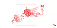 ROTOR   STATOR pour Honda SH 125 ABS D STANDARD de 2015