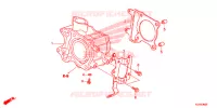 CYLINDRE pour Honda SH 125 SPORTY de 2014