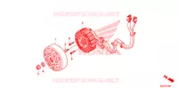ROTOR   STATOR pour Honda SH 150 ABS D de 2014