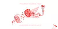 ROTOR   STATOR pour Honda SH 150 ABS SPORTY SPECIAL 5ED de 2014