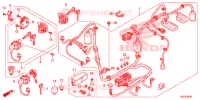 FAISCEAU DES FILS pour Honda SH 150 D SPECIAL 3ED de 2014