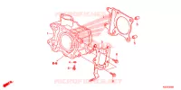 CYLINDRE pour Honda SH 150 SPORTY STANDARD de 2014