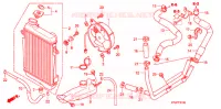 RADIATEUR pour Honda SH 300 ABS de 2008