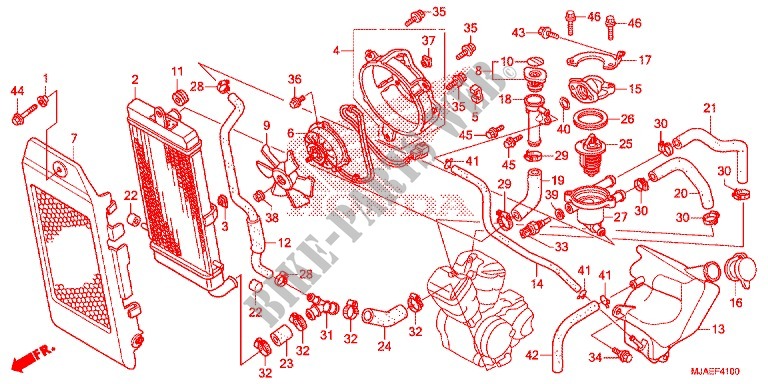 RADIATEUR (VT750CS/C2B/C2S/C) pour Honda SHADOW VT 750 SPIRIT B de 2016