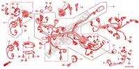 FAISCEAU DES FILS pour Honda PCX 150 de 2012