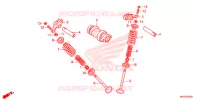 ARBRE A CAMES   SOUPAPE pour Honda XR 125 L ARRANQUE ELECTRICO de 2016