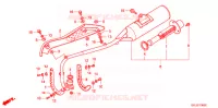 SILENCIEUX D'ECHAPPEMENT pour Honda CRF 50 de 2008