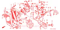 RADIATEUR pour Honda SHADOW VT 750 de 2001
