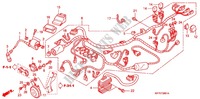 FAISCEAU DES FILS  pour Honda CBR 125 TRICOLOR de 2009