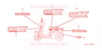 AUTOCOLLANTS pour Honda 50 GYRO X STANDARD de 2005